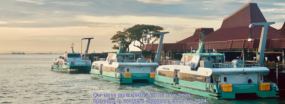 Pure Electric Ferries